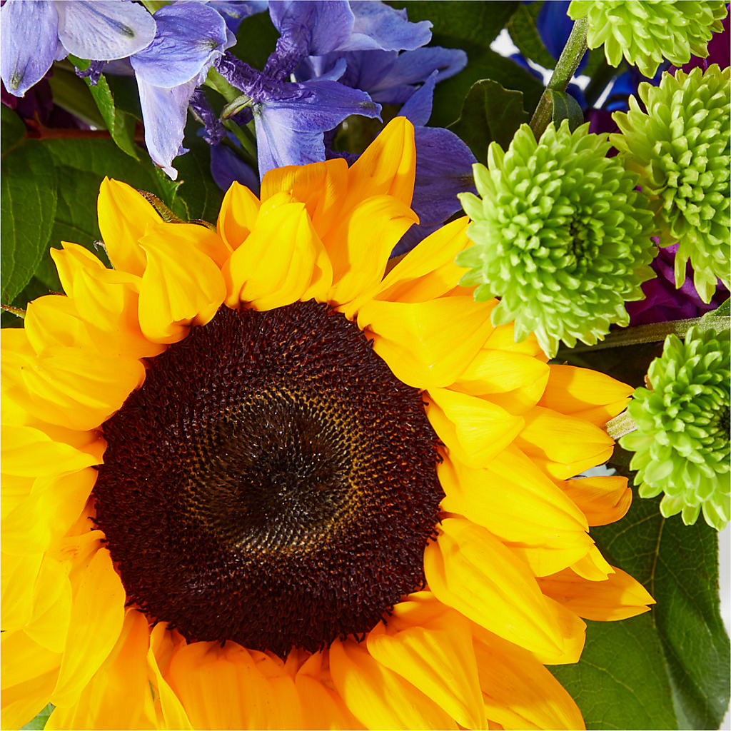 Catching Rays Bouquet –  Emotional Bonding, Niles IL