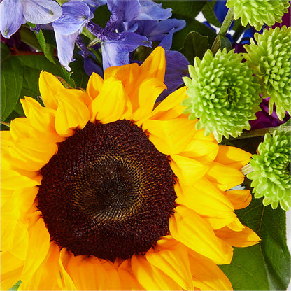 Catching Rays Bouquet –  Emotional Bonding, Niles IL
