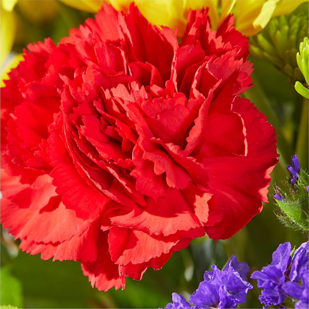 Brighter Days Bouquet –  Emotional Bonding, Niles IL