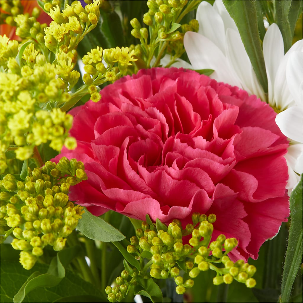 Oopsie Daisy Bouquet –  Emotional Bonding, Niles IL