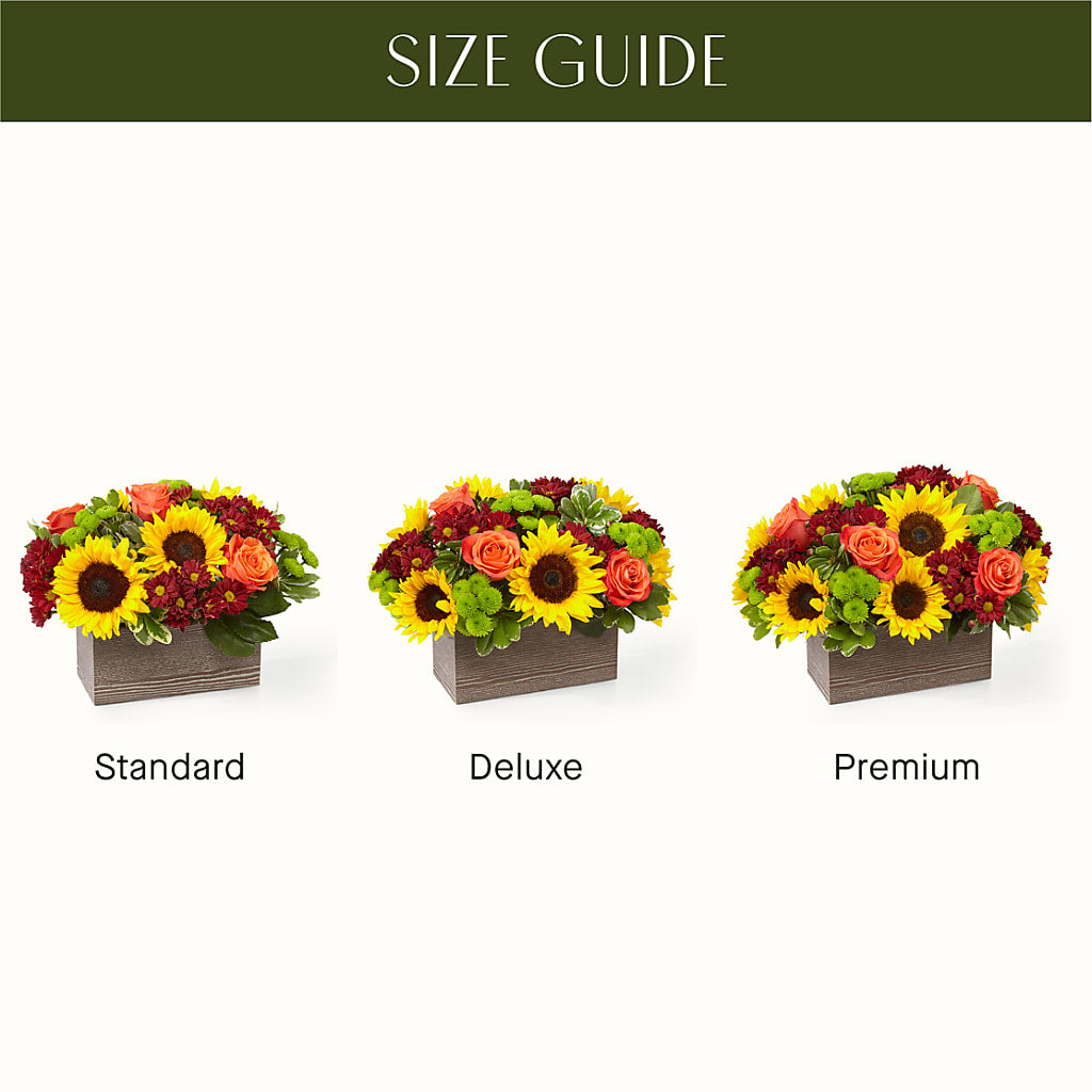 Happy Harvest Garden –  Emotional Bonding, Niles IL