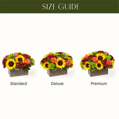 Happy Harvest Garden –  Emotional Bonding, Niles IL