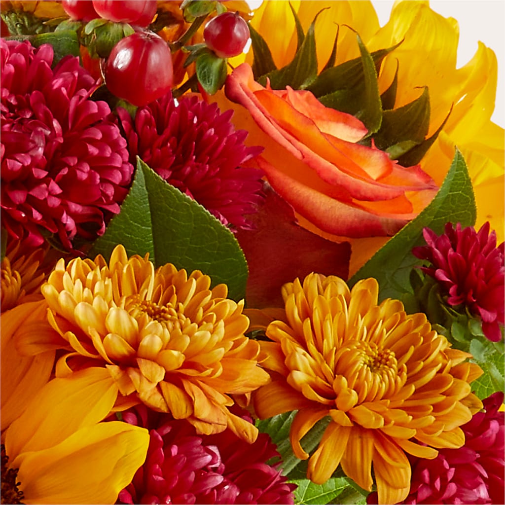 Sweater Season - A Florist Original –  Emotional Bonding, Niles IL