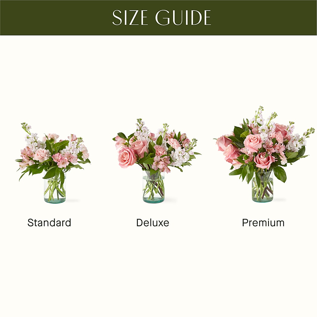 At the Ballet Bouquet –  Emotional Bonding, Niles IL