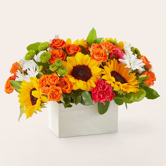 Sun-drenched Blooms Box Bouquet –  Emotional Bonding, Niles IL