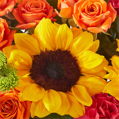 Sun-drenched Blooms Box Bouquet –  Emotional Bonding, Niles IL