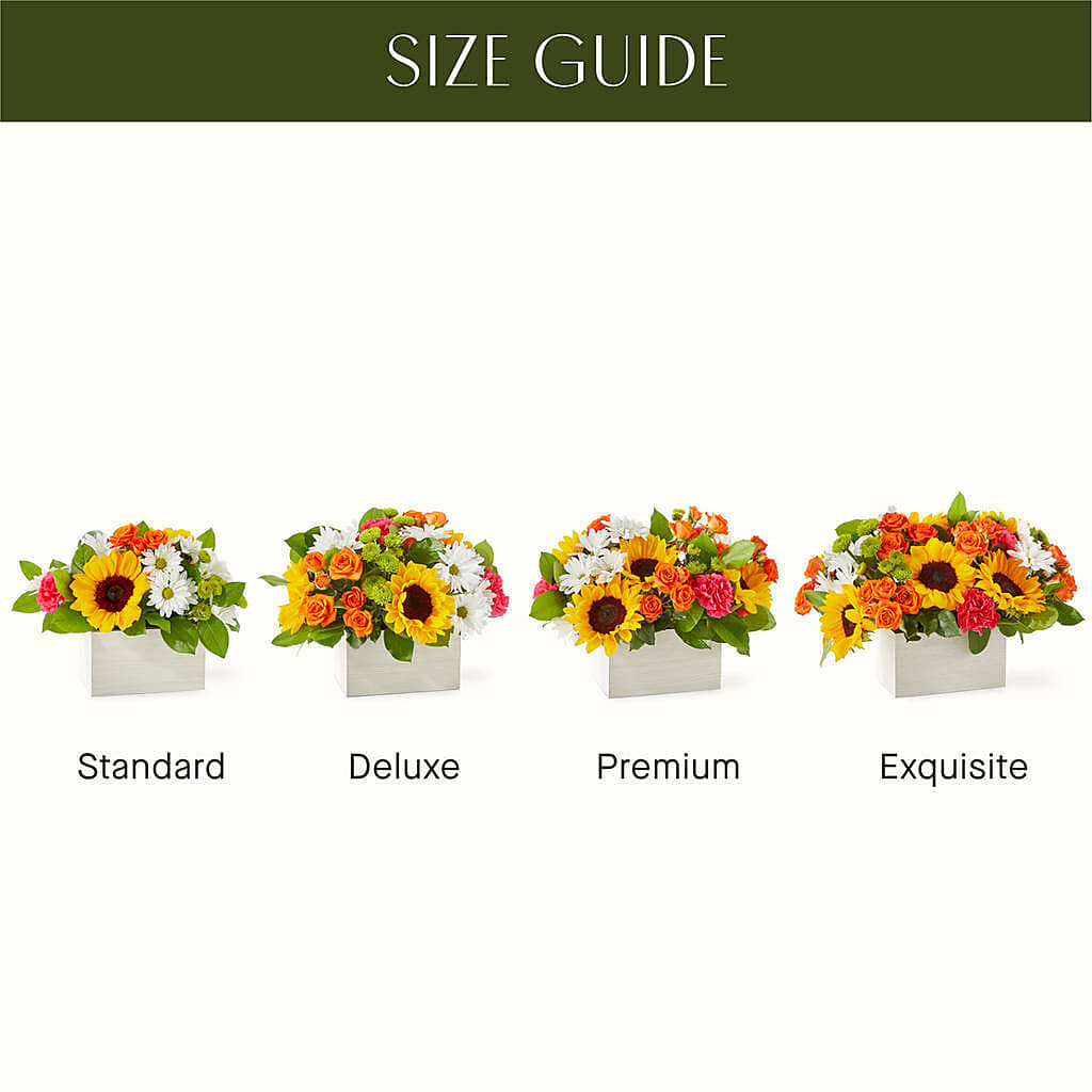 Sun-drenched Blooms Box Bouquet –  Emotional Bonding, Niles IL