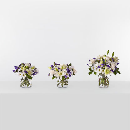 Beyond Blue Bouquet –  Emotional Bonding, Niles IL