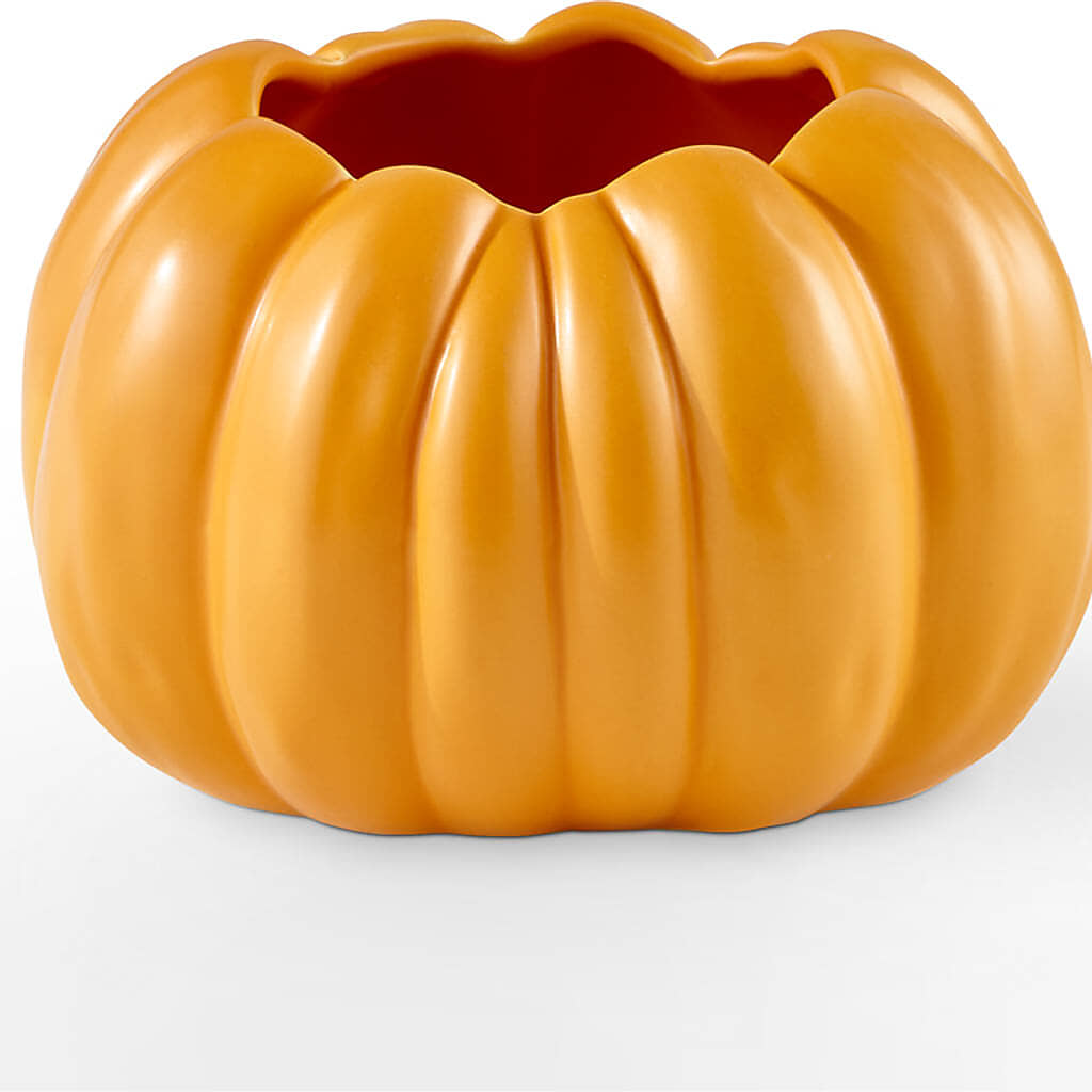 Golden Gourd Pumpkin Bouquet –  Emotional Bonding, Niles IL