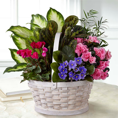 Peaceful Garden Planter –  Emotional Bonding, Niles IL