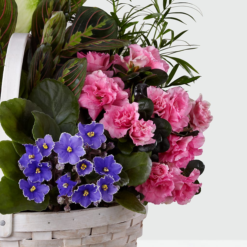 Peaceful Garden Planter –  Emotional Bonding, Niles IL