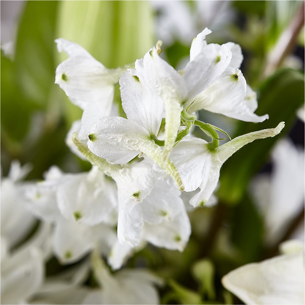 Classic Ivory – A Florist Original –  Emotional Bonding, Niles IL