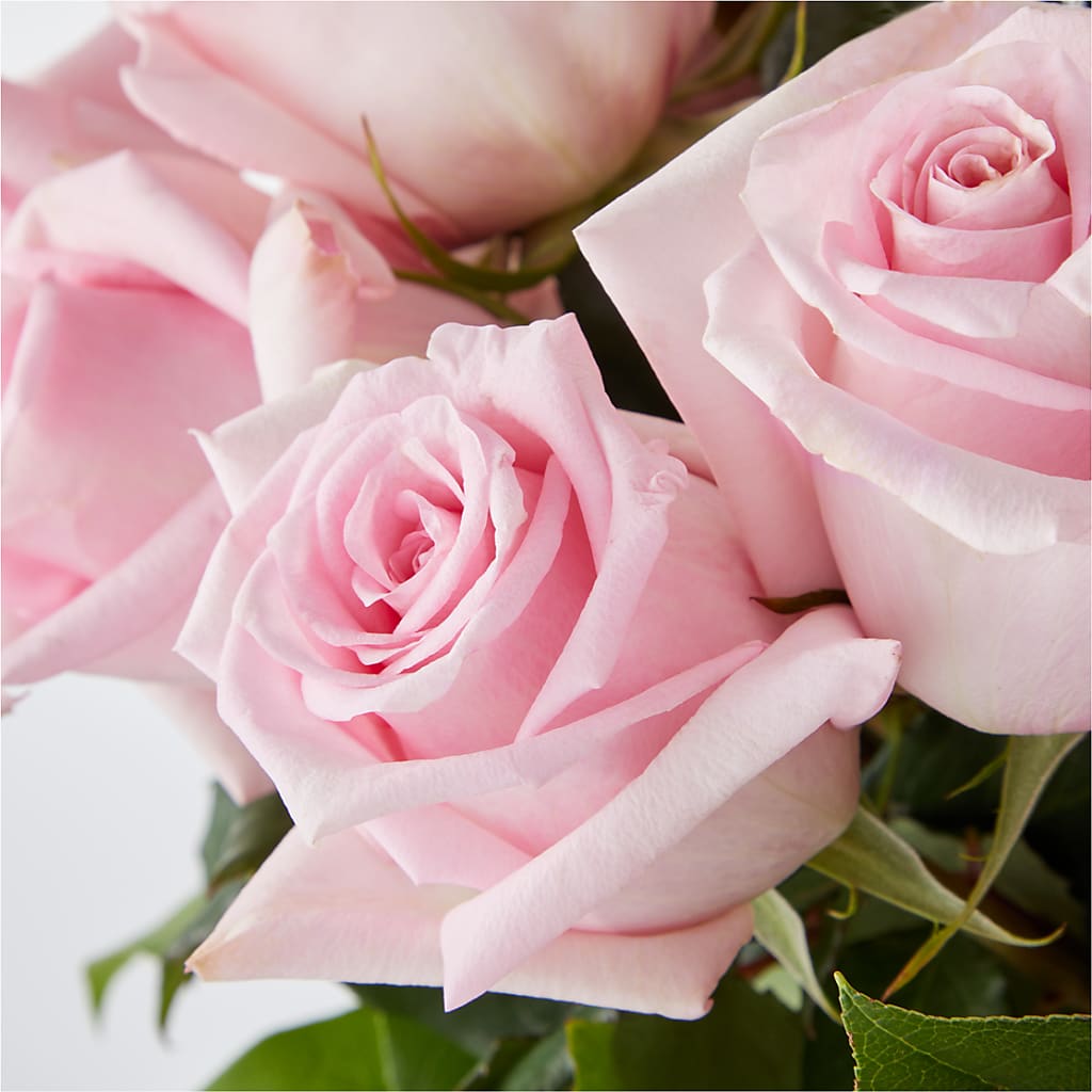Picture Perfect Pink Rose Bouquet –  Emotional Bonding, Niles IL