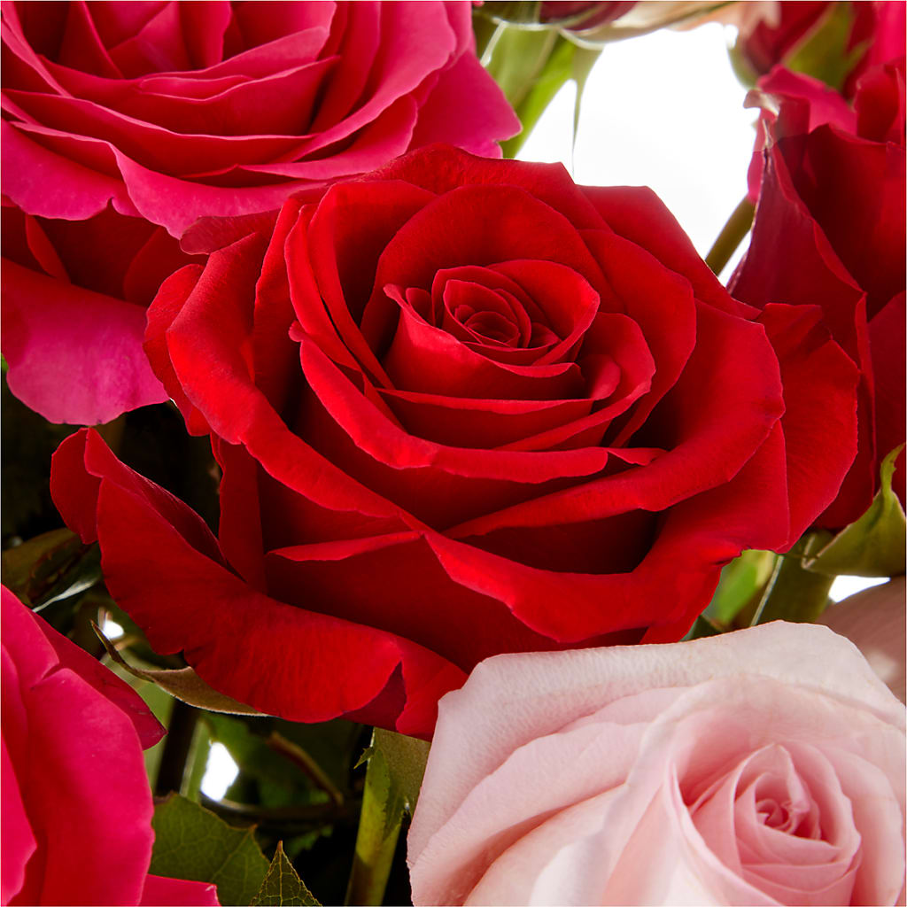 Love Notes Rose Bouquet –  Emotional Bonding, Niles IL