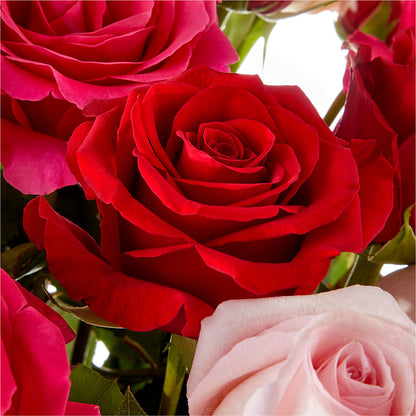 Love Notes Rose Bouquet –  Emotional Bonding, Niles IL
