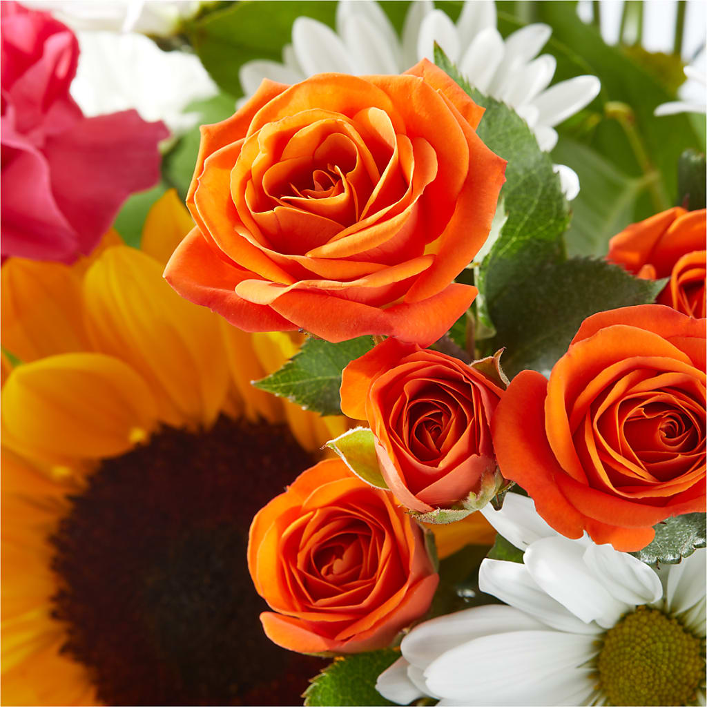 Sun-drenched Blooms Bouquet –  Emotional Bonding, Niles IL