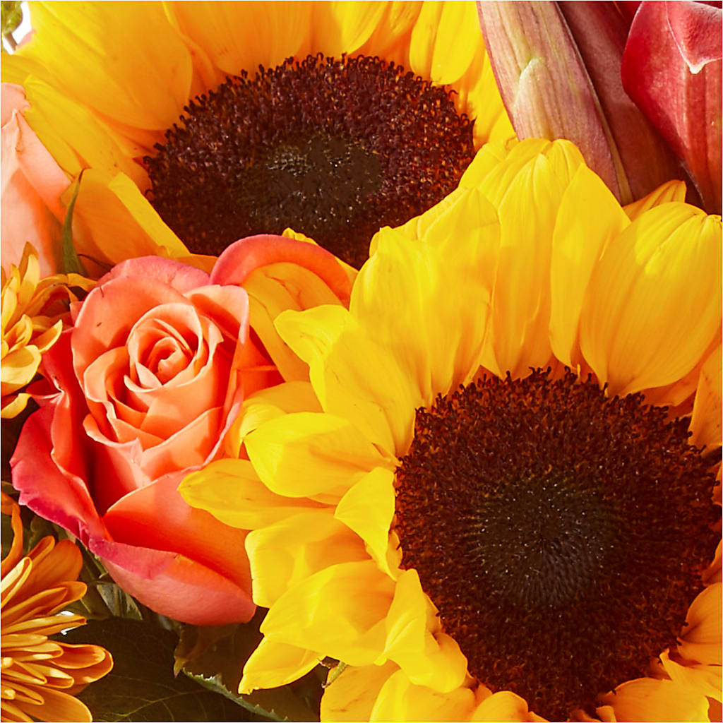Acorn Lane Bouquet –  Emotional Bonding, Niles IL