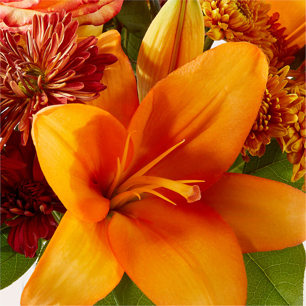Autumnal Aroma Bouquet –  Emotional Bonding, Niles IL