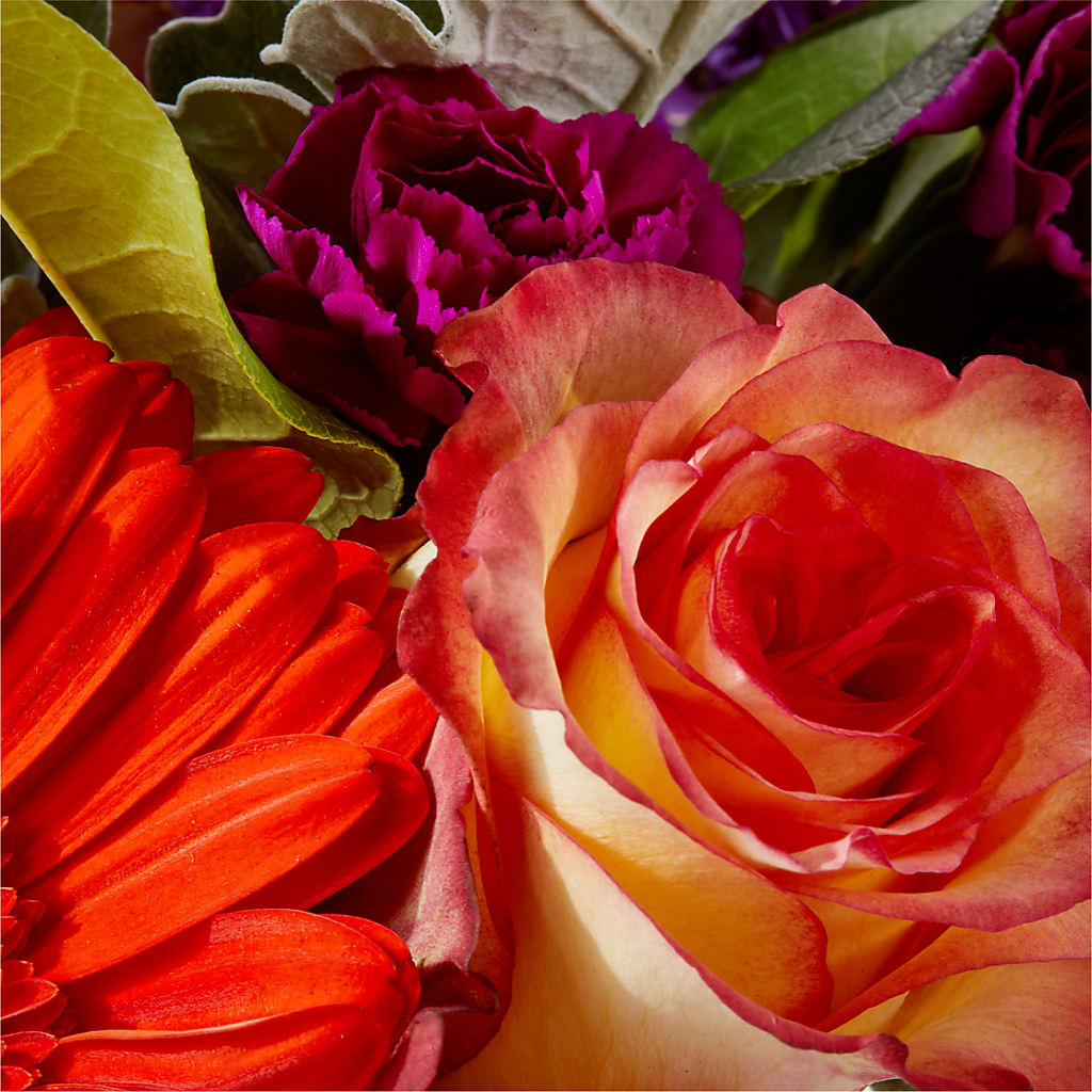 Sangria Bouquet –  Emotional Bonding, Niles IL