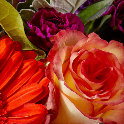 Sangria Bouquet –  Emotional Bonding, Niles IL