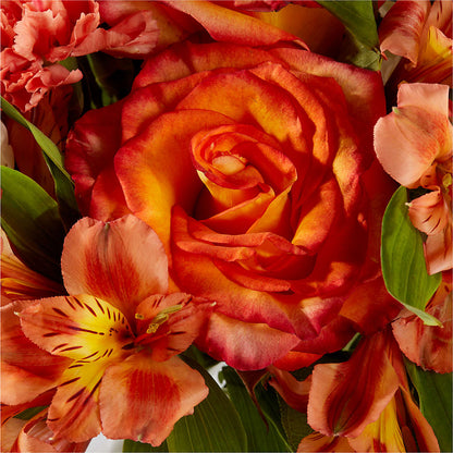 Apricot Glow Bouquet –  Emotional Bonding, Niles IL