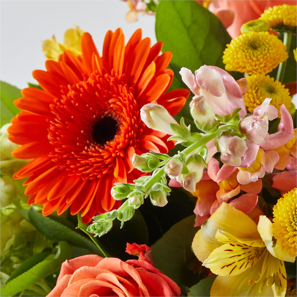 Autumn Sunshine Bouquet –  Emotional Bonding, Niles IL