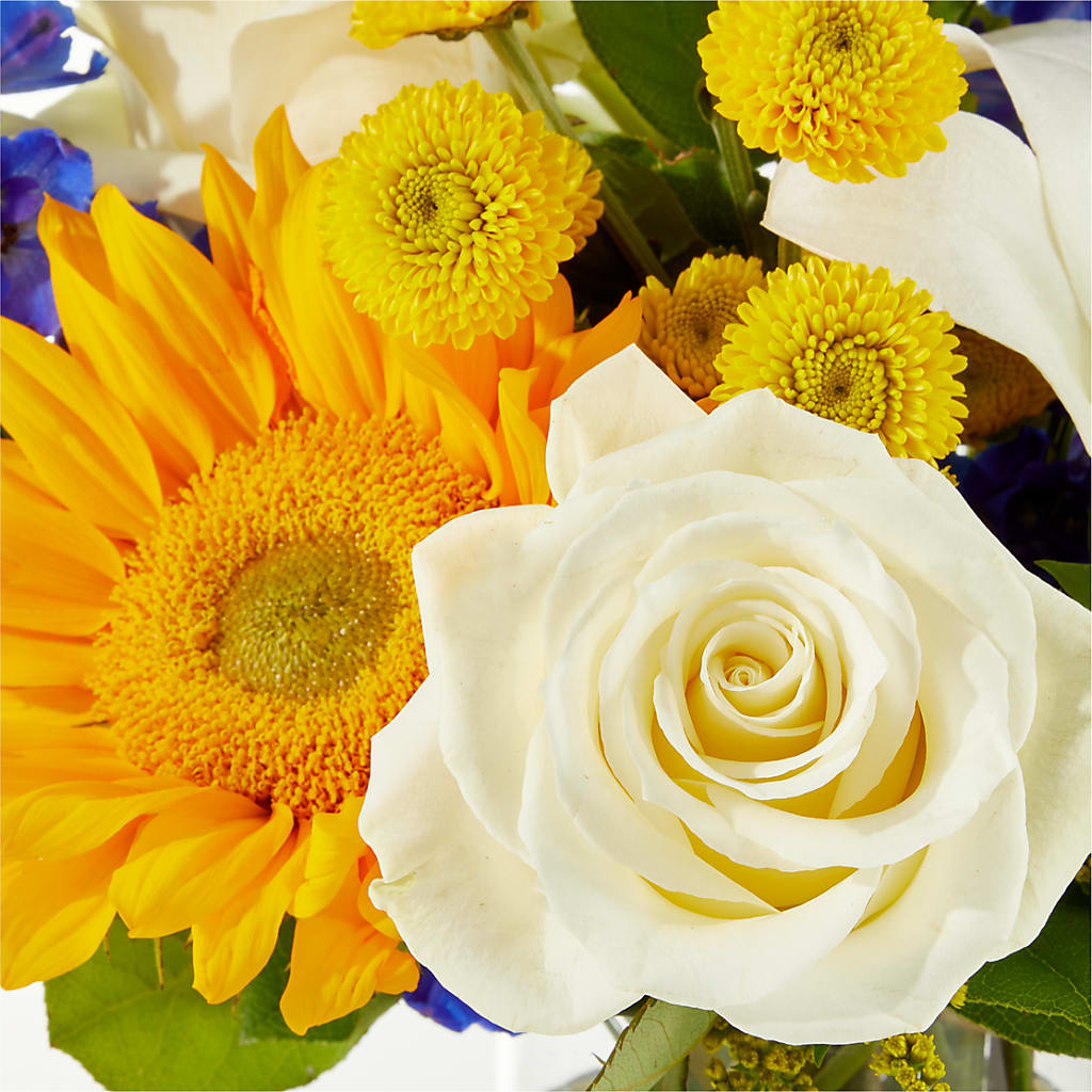 Stargazing Bouquet –  Emotional Bonding, Niles IL