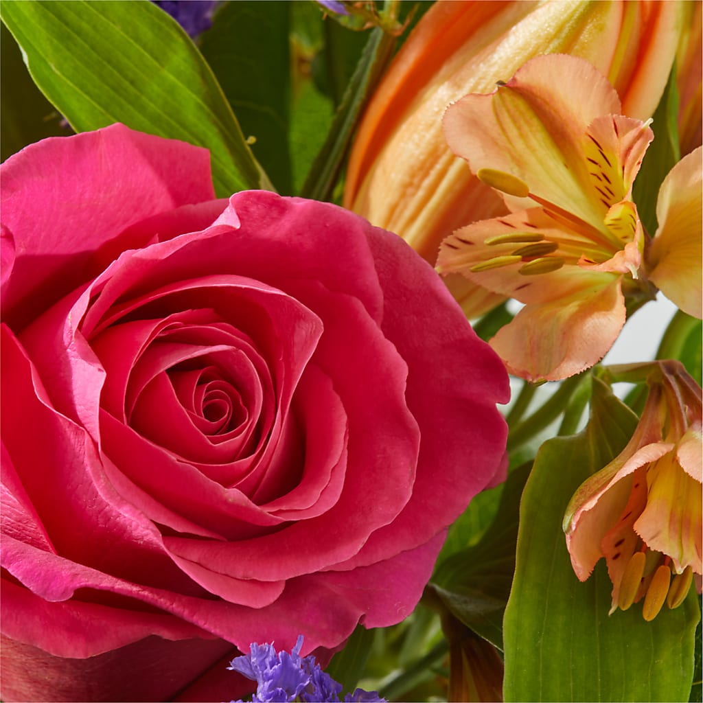 Joyful Bouquet –  Emotional Bonding, Niles IL