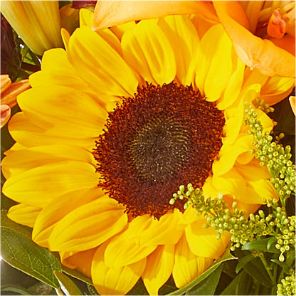 Seasons Change Bouquet –  Emotional Bonding, Niles IL