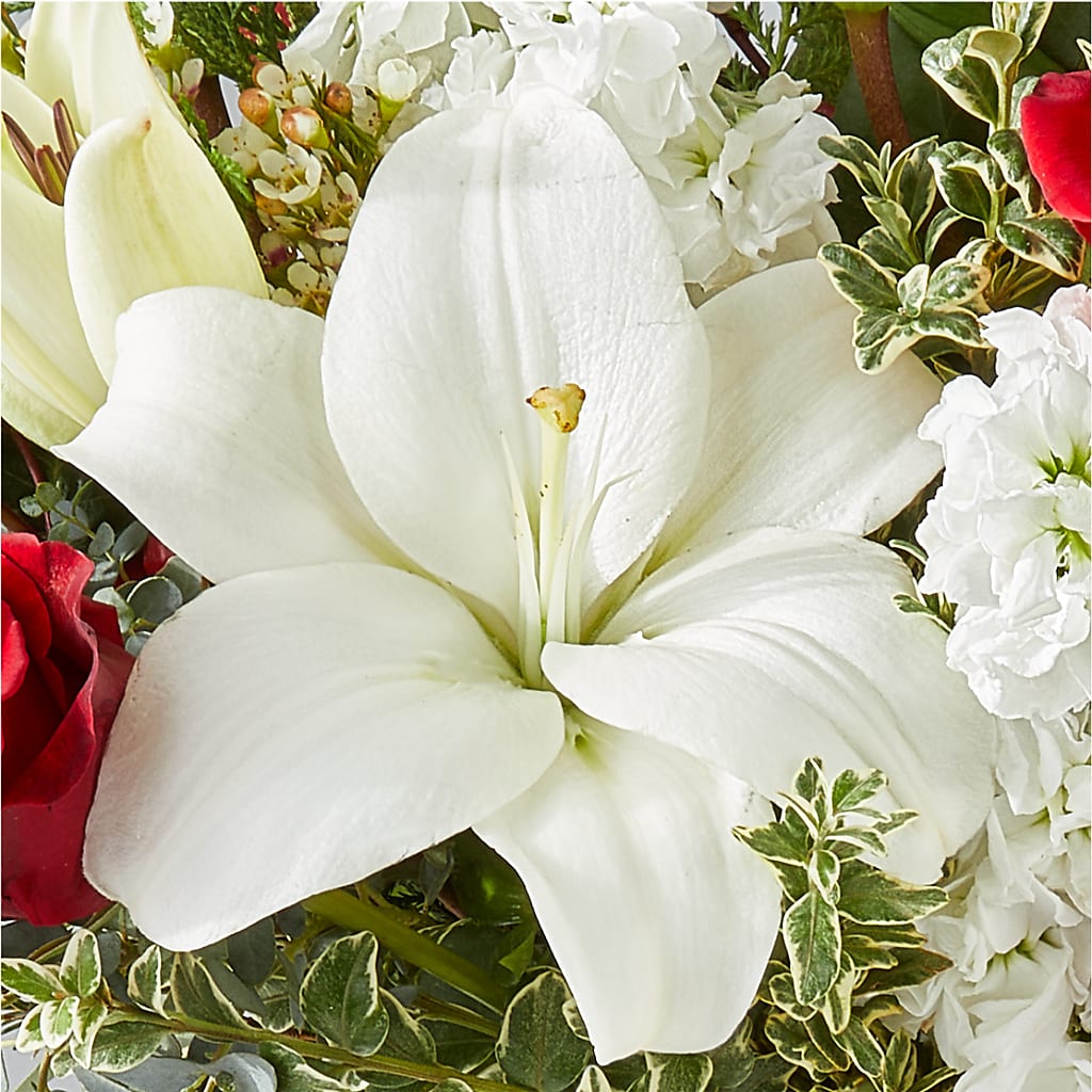 Twinkle Lights Bouquet –  Emotional Bonding, Niles IL