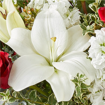 Twinkle Lights Bouquet –  Emotional Bonding, Niles IL