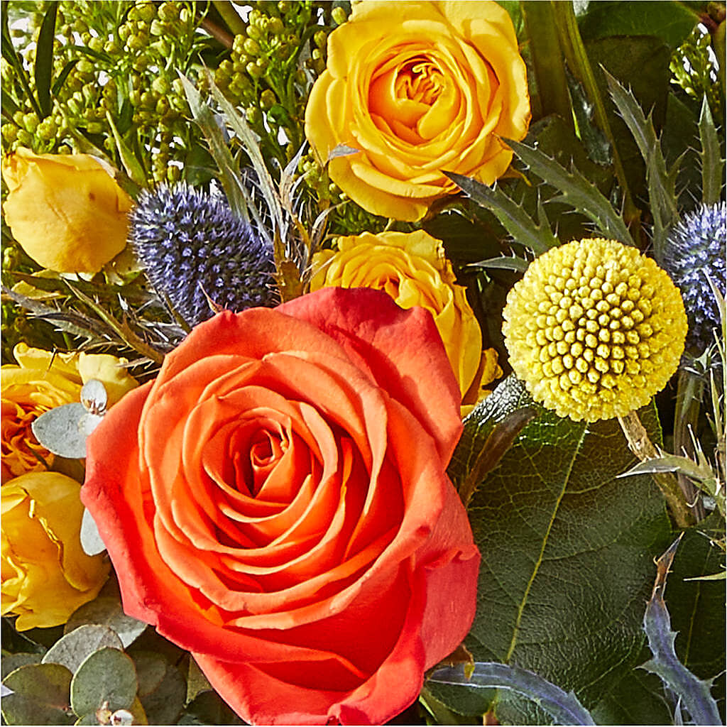 Disco Bouquet –  Emotional Bonding, Niles IL