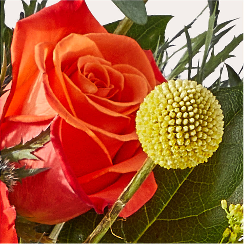 Disco Bouquet –  Emotional Bonding, Niles IL