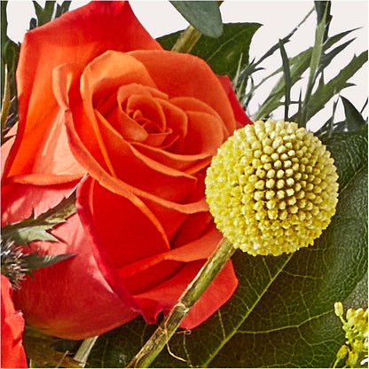 Disco Bouquet –  Emotional Bonding, Niles IL