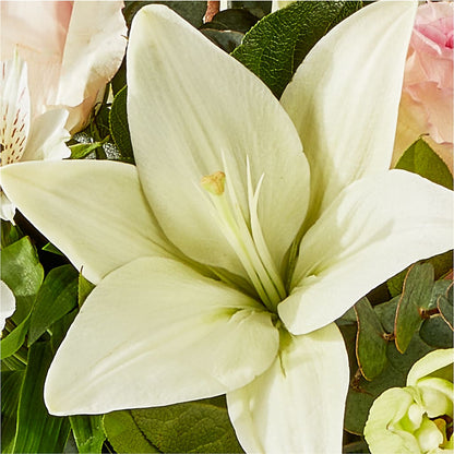 Ballet Slippers Bouquet –  Emotional Bonding, Niles IL