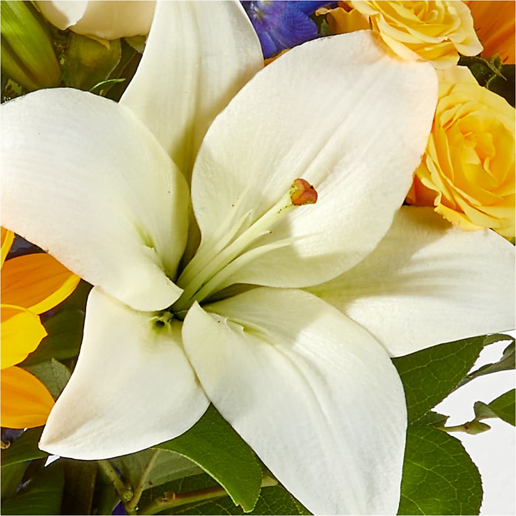 Wonderfully Sunny Bouquet –  Emotional Bonding, Niles IL