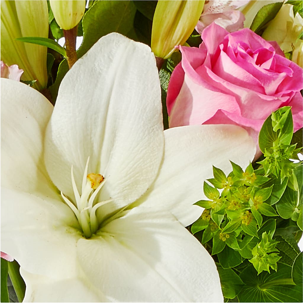 Fondly Bouquet –  Emotional Bonding, Niles IL