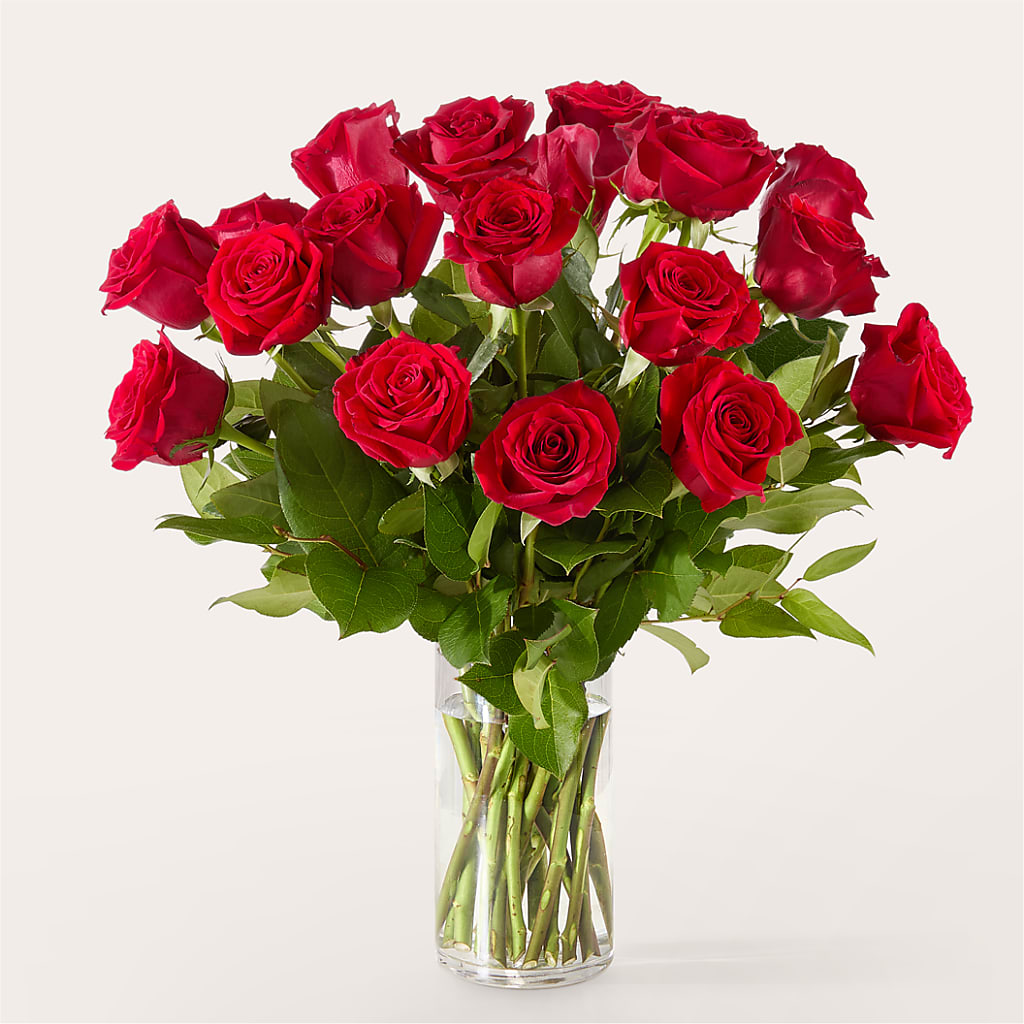 The One Red Rose Bouquet –  Emotional Bonding, Niles IL