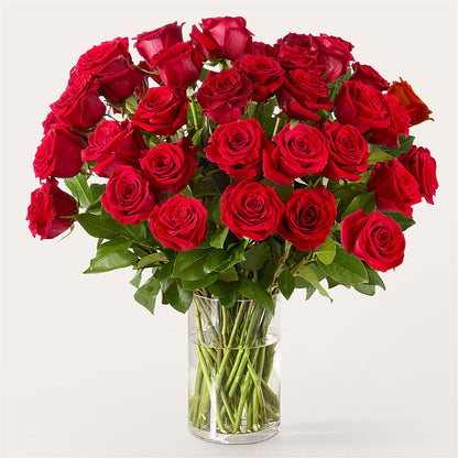 The One Red Rose Bouquet –  Emotional Bonding, Niles IL