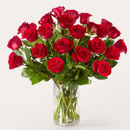 The One Red Rose Bouquet –  Emotional Bonding, Niles IL