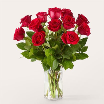 The One Red Rose Bouquet –  Emotional Bonding, Niles IL