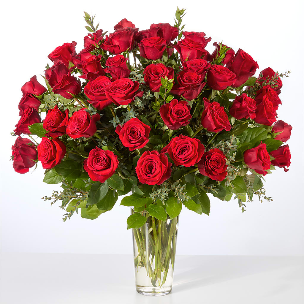 Forever Yours Fifty Stem Red Rose Bouquet –  Emotional Bonding, Niles IL