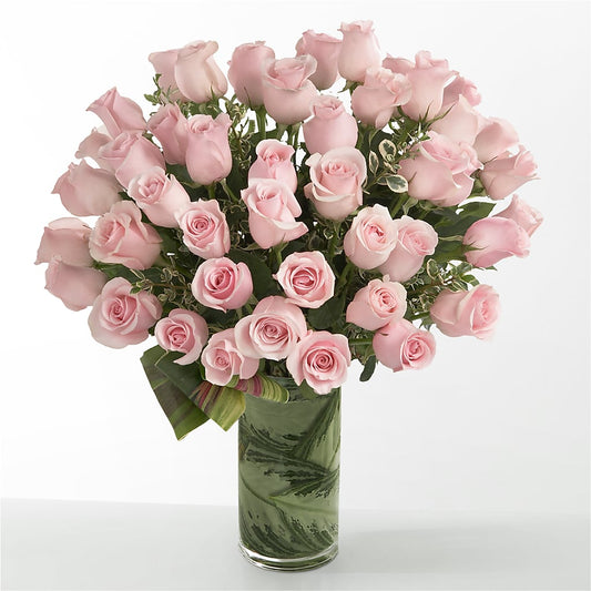 Pink Essence –  Emotional Bonding, Niles IL