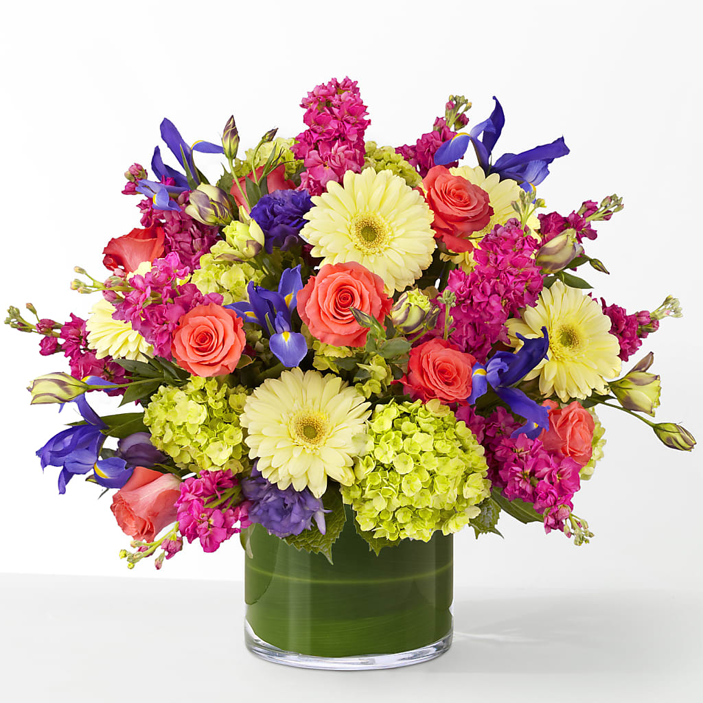 The Couture –  Emotional Bonding, Niles IL