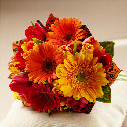 Sunglow Bouquet –  Emotional Bonding, Niles IL