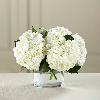 White Hydrangea Bouquet –  Emotional Bonding, Niles IL