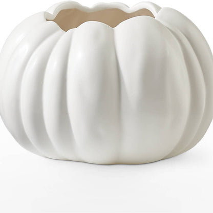 Pumpkin to Talk About Bouquet –  Emotional Bonding, Niles IL